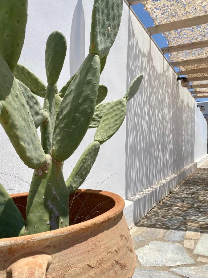 Fikas Hotel Naxos City Bagian luar foto